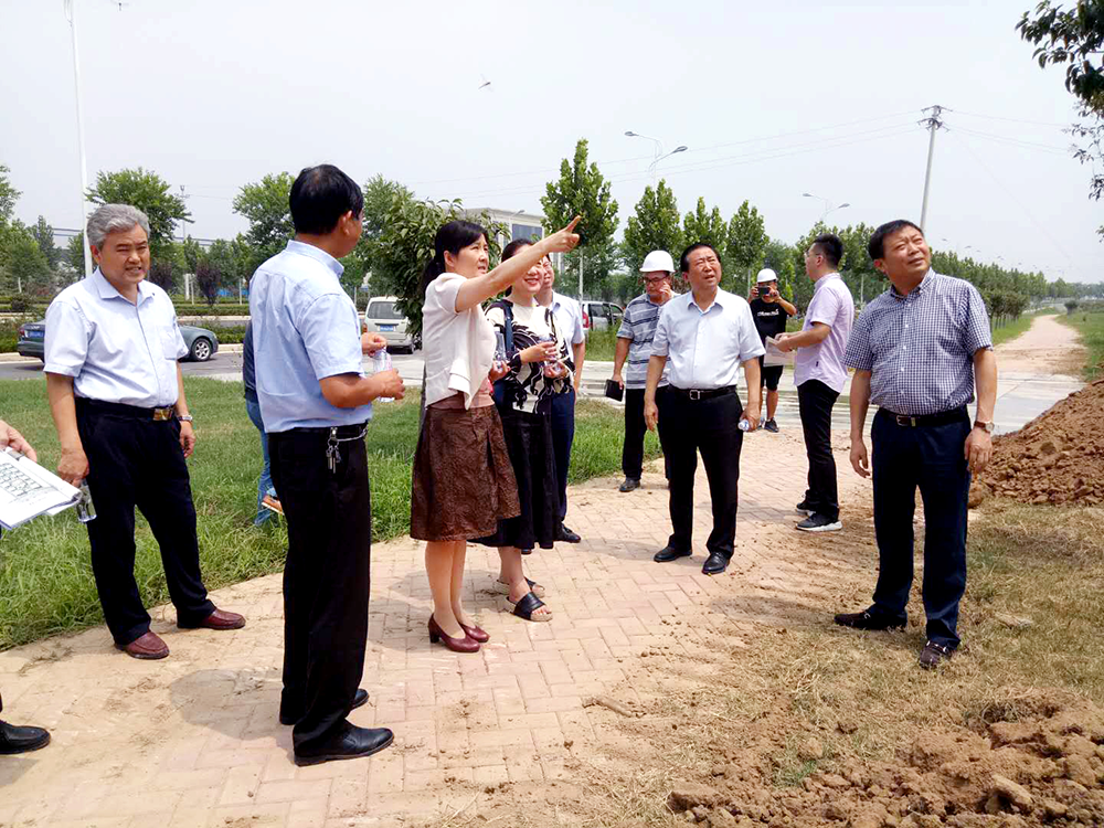 市、區(qū)領導參觀泰投創(chuàng)新生態(tài)社區(qū)科技園項目