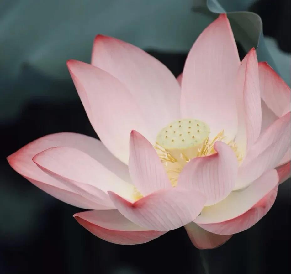 微信圖片_20210813144243