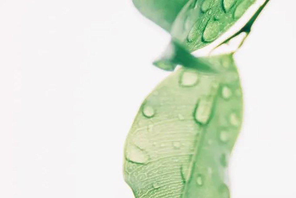 微信圖片_20210825172118