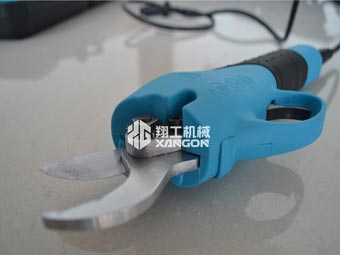 果樹修剪時，電動修枝剪助您一臂之力